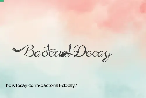 Bacterial Decay