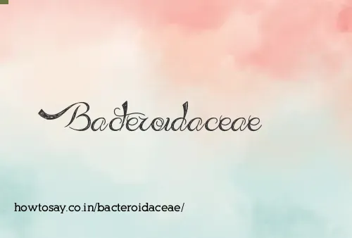 Bacteroidaceae