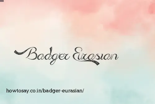 Badger Eurasian