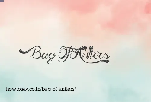 Bag Of Antlers