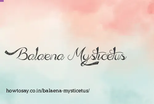 Balaena Mysticetus