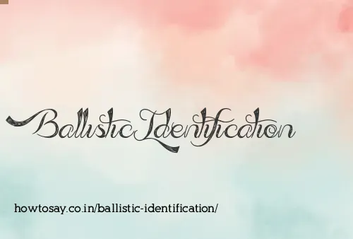 Ballistic Identification