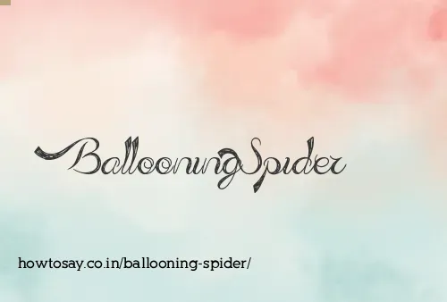 Ballooning Spider