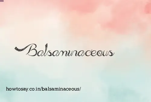 Balsaminaceous