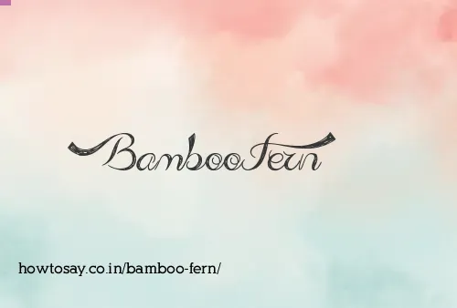 Bamboo Fern