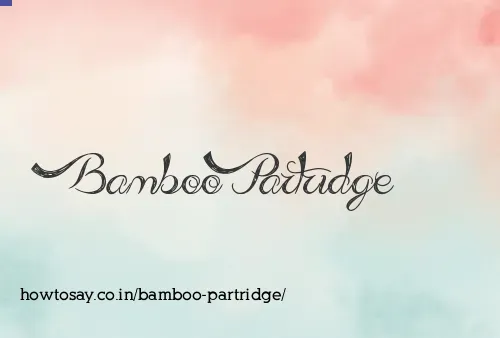 Bamboo Partridge