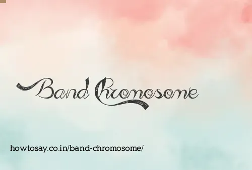 Band Chromosome