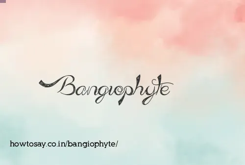 Bangiophyte