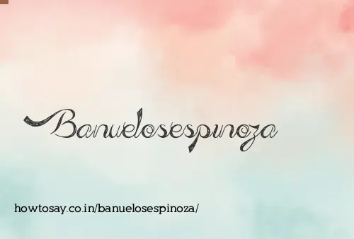 Banuelosespinoza