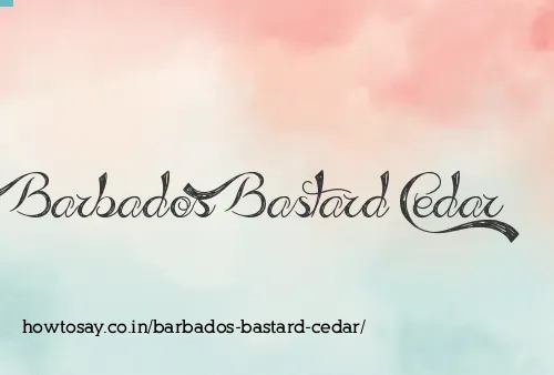 Barbados Bastard Cedar