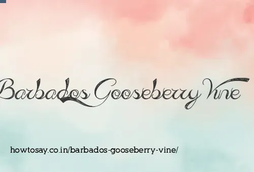 Barbados Gooseberry Vine