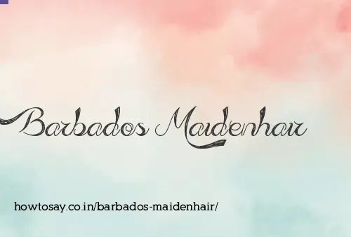 Barbados Maidenhair