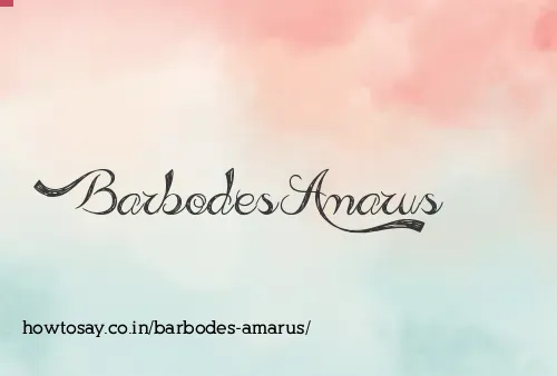 Barbodes Amarus