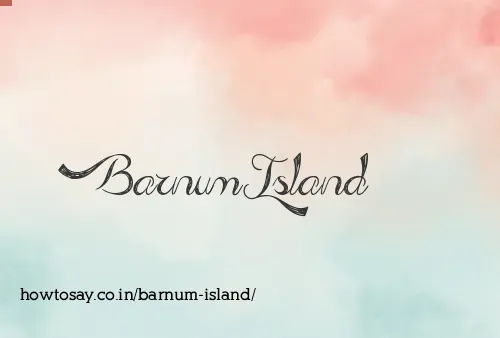 Barnum Island