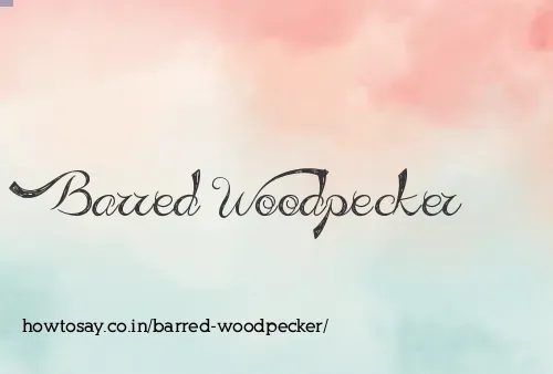 Barred Woodpecker