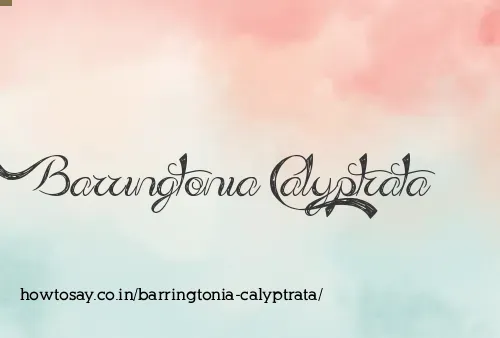 Barringtonia Calyptrata