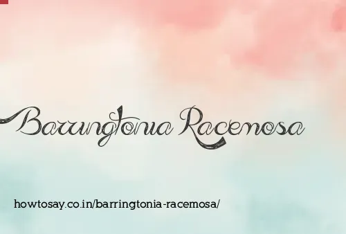 Barringtonia Racemosa