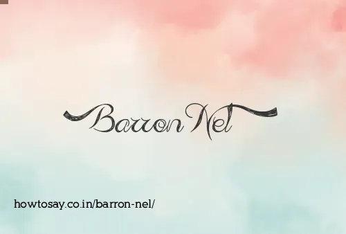 Barron Nel
