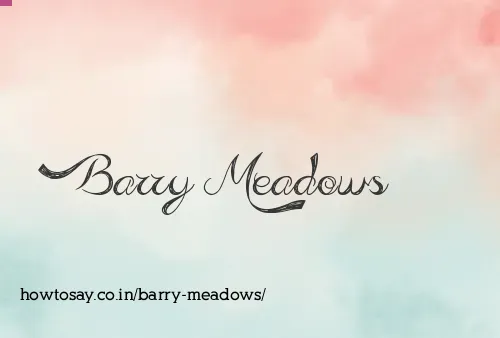 Barry Meadows