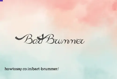 Bart Brummer