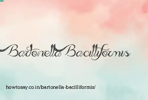 Bartonella Bacilliformis