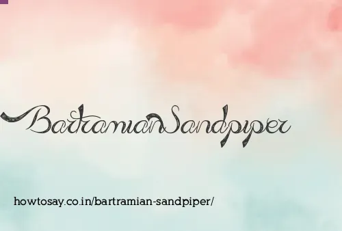 Bartramian Sandpiper