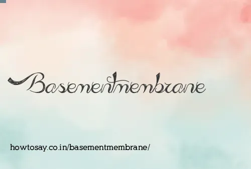 Basementmembrane