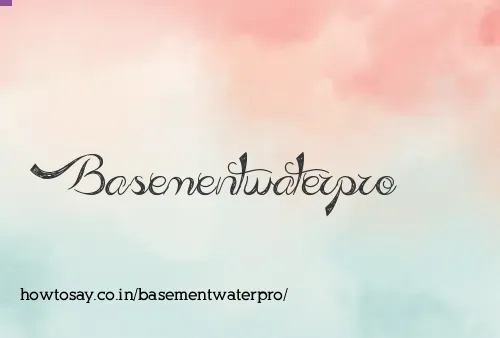 Basementwaterpro