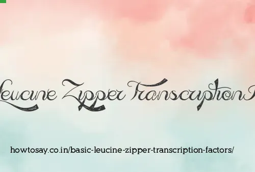 Basic Leucine Zipper Transcription Factors