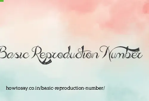 Basic Reproduction Number