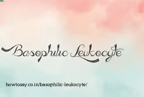 Basophilic Leukocyte