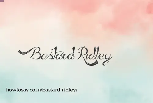 Bastard Ridley
