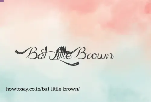 Bat Little Brown