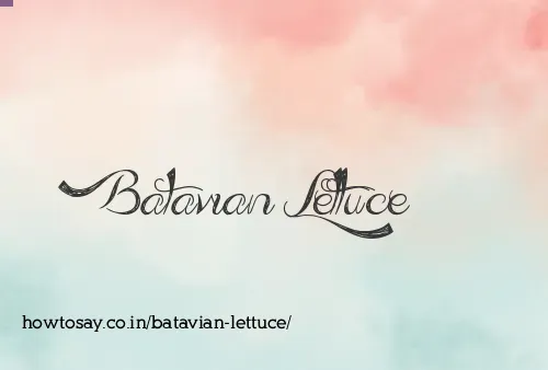 Batavian Lettuce