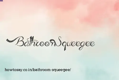 Bathroom Squeegee