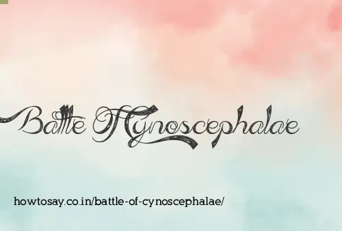 Battle Of Cynoscephalae