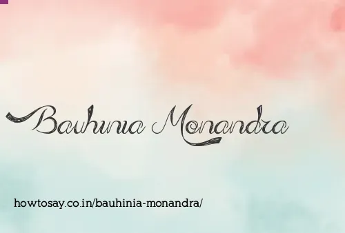 Bauhinia Monandra