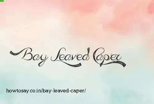 Bay Leaved Caper