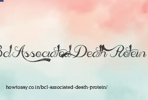 Bcl Associated Death Protein