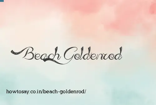 Beach Goldenrod