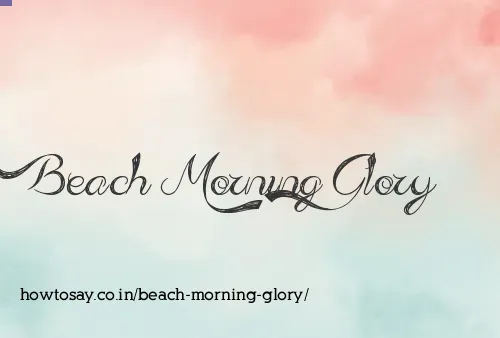 Beach Morning Glory