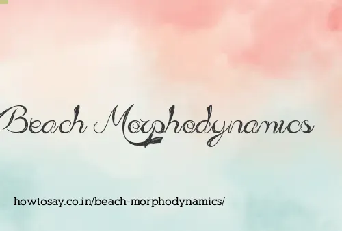 Beach Morphodynamics