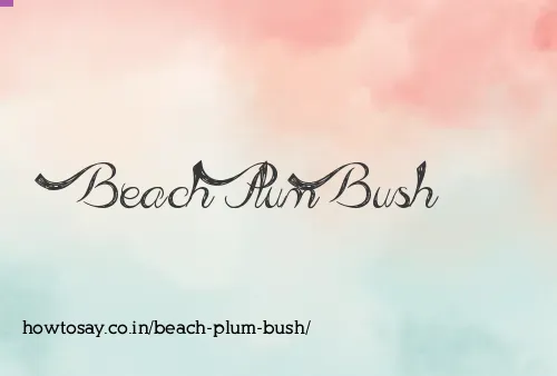 Beach Plum Bush