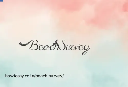 Beach Survey