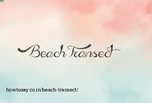 Beach Transect