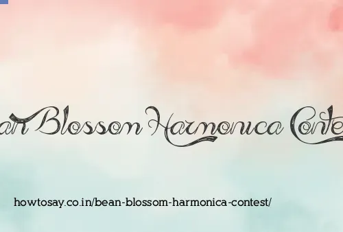 Bean Blossom Harmonica Contest