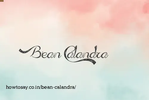 Bean Calandra