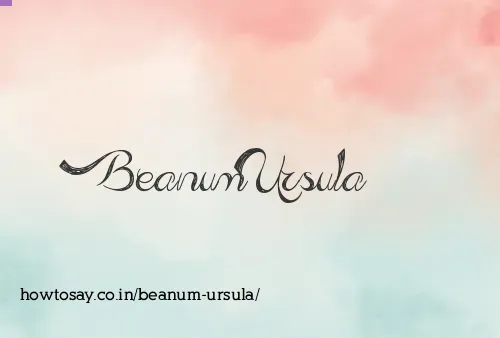Beanum Ursula