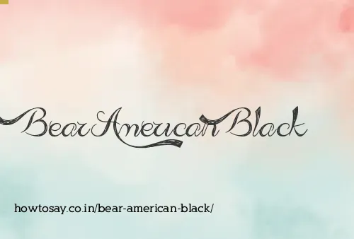 Bear American Black