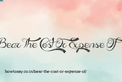 Bear The Cost Or Expense Of